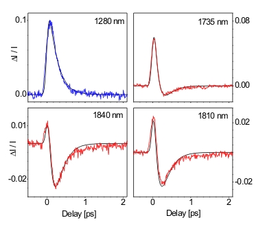 solvated electron 2