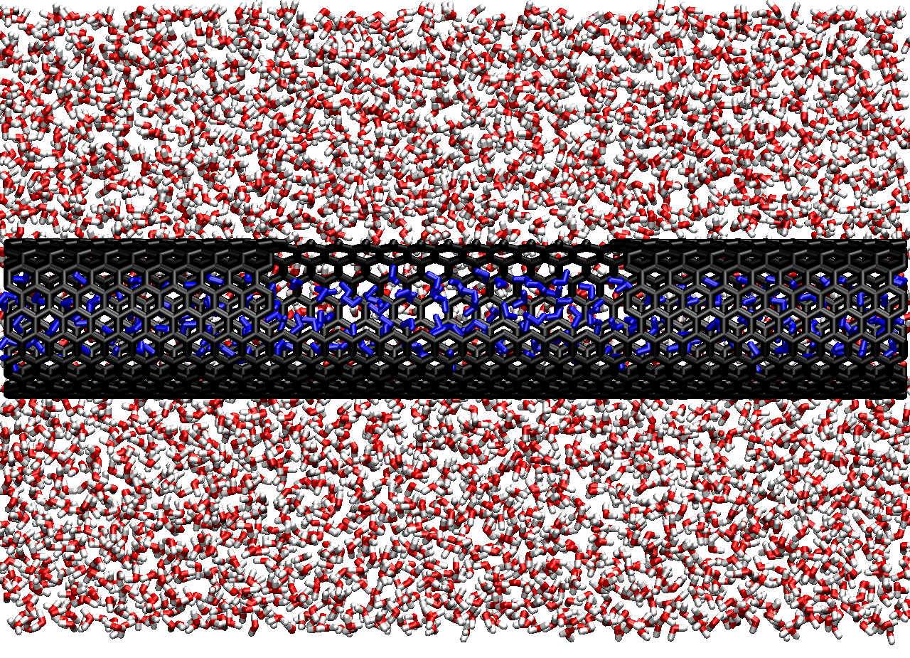 Carbo Nano Tube in Water